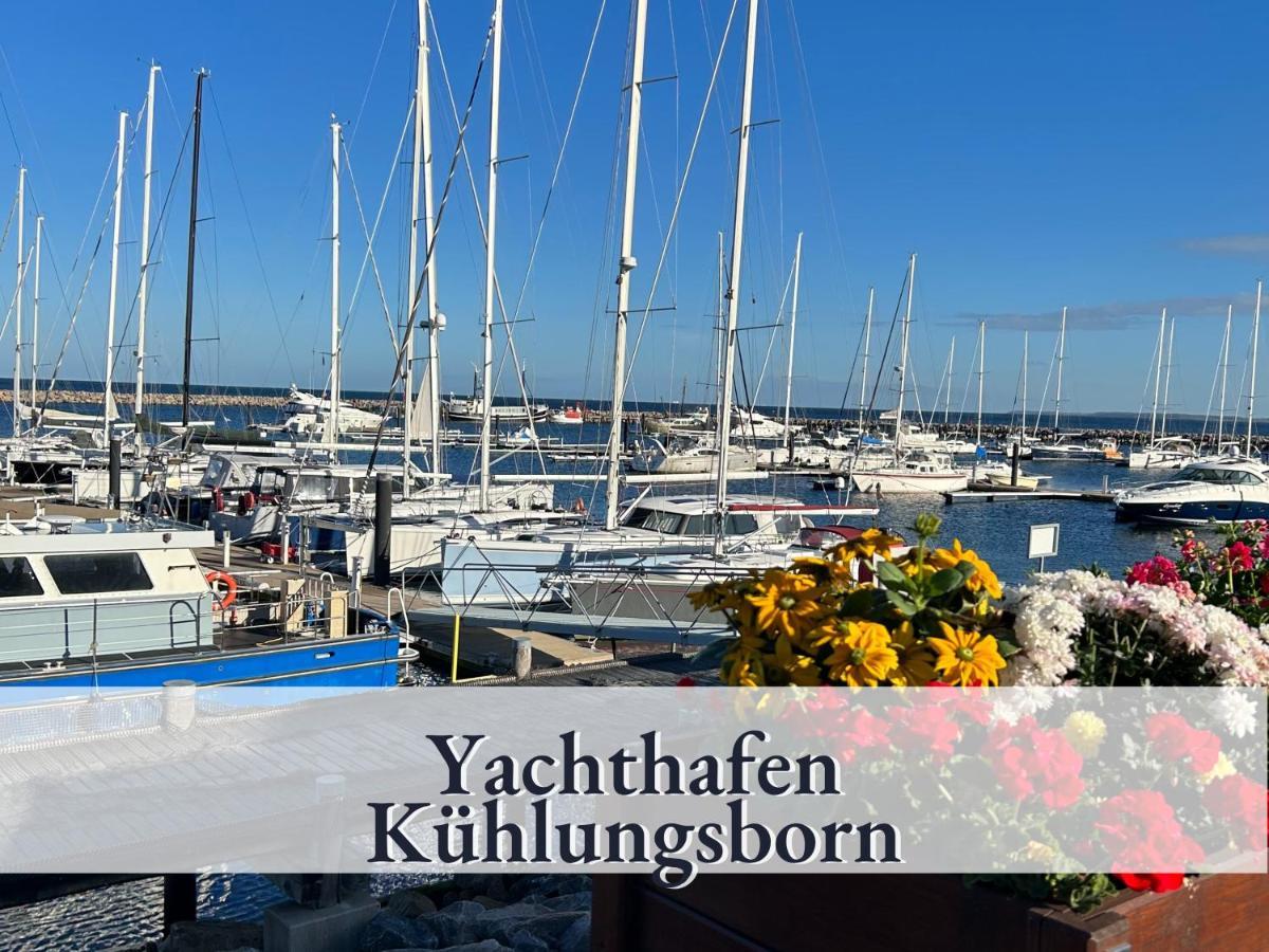 3 Zimmer App Duenengarten Fewo 58 Ostseebad Kühlungsborn Exterior foto